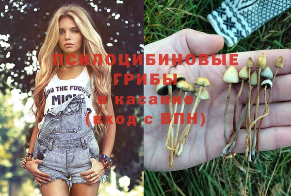 2c-b Баксан