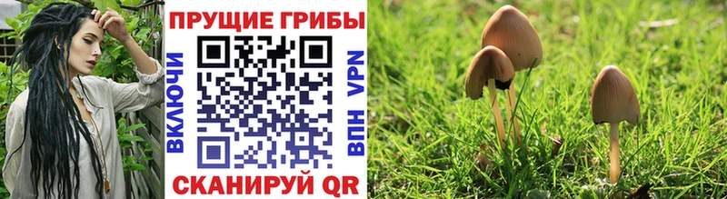 Псилоцибиновые грибы MAGIC MUSHROOMS  Благодарный 